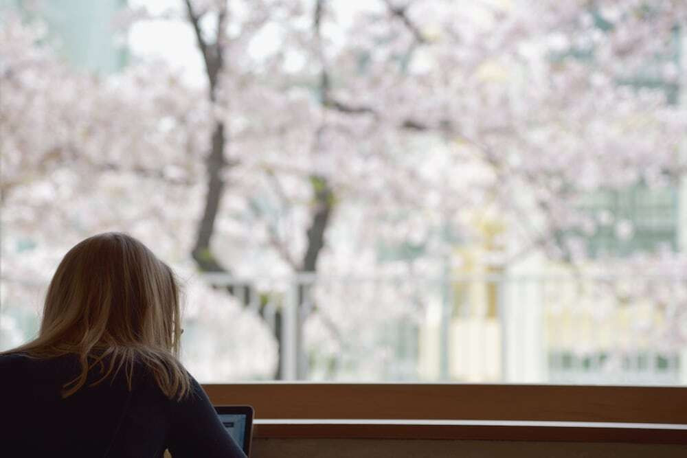 施設からの眺望