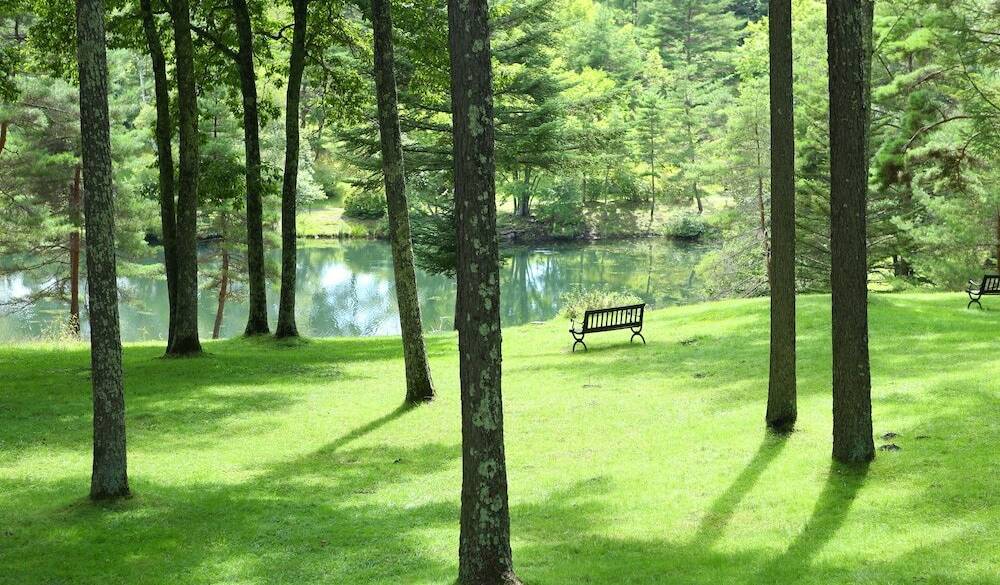 プライべ―トガーデンの風景① / 1