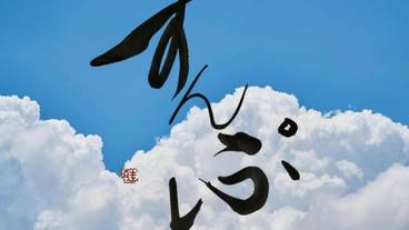 施設の敷地 / 28