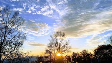 シティ ビュー / 22