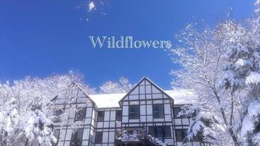 メイン イメージ / 1