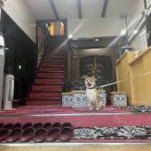 山本旅館 博多（福岡県 旅館） / 3