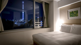 スカイプレミアムルーム 禁煙 (高層階・眺望確約)