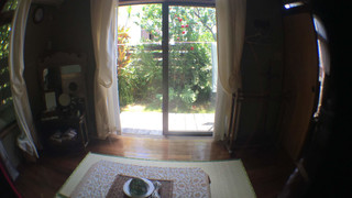 アジアン和室 ジャングルビュー 禁煙 女性専用 (布団2組)