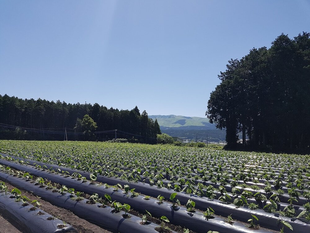 施設からの眺望
