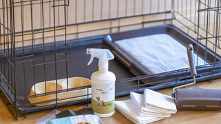 (2棟限定 専用露天風呂) 離れ ペット可 禁煙