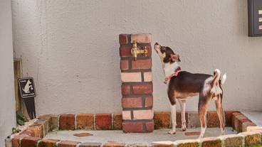 施設内の設備 / 4