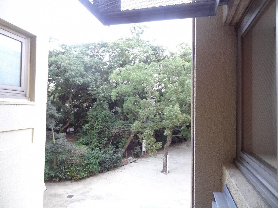 眺望がイマイチなお部屋でした。