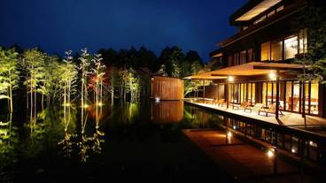 金乃竹 仙石原（キンノタケセンゴクハラ） / 1