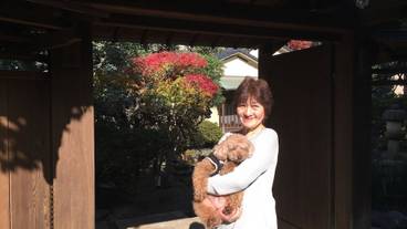 施設からの眺望 / 15