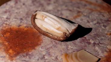 食事・飲み物 / 28