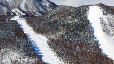 スノー スポーツとスキー / 1