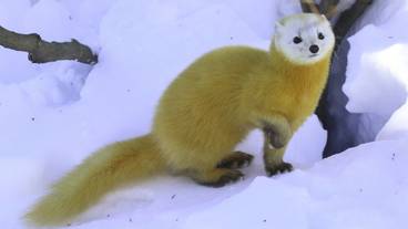 施設の敷地 / 16