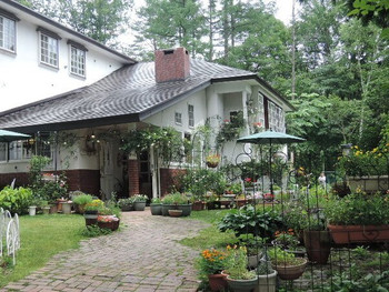 7.コットンスノー【長野】3701116