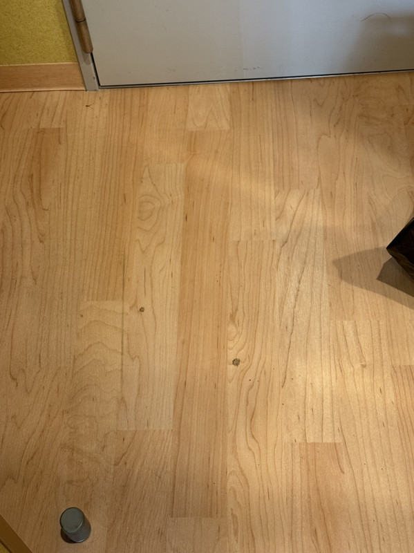 これよりも大きな汚れもドアの前に