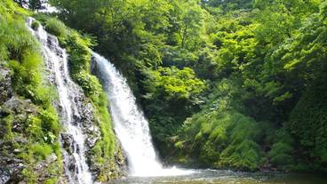 観光スポット / 12