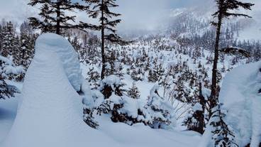 スノー スポーツとスキー / 1