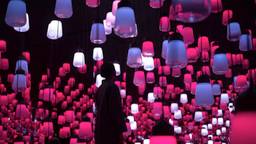 【佐賀県】女子旅におすすめの旅館8選｜美肌の湯や光のアート、玄界灘の海鮮を満喫♩