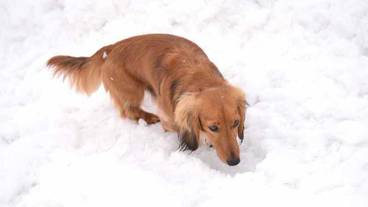 施設の敷地 / 21