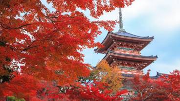 観光スポット / 4