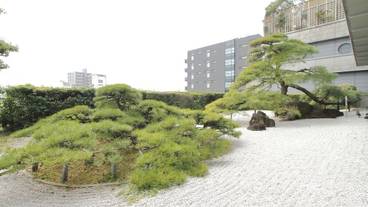 庭園 / 10