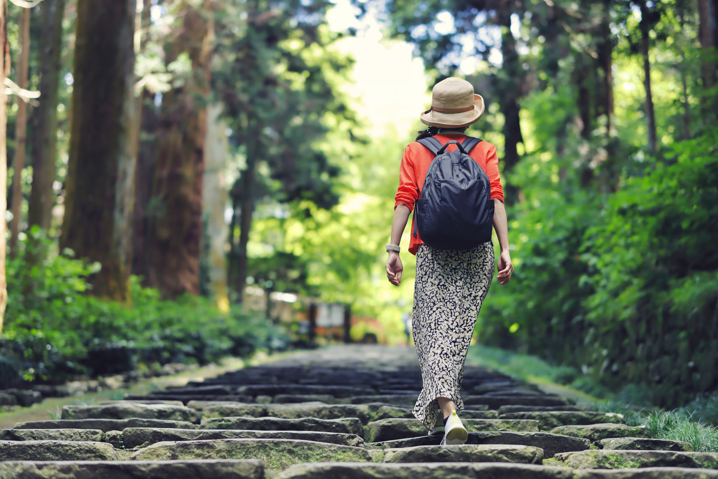 新緑の中を歩く女性
