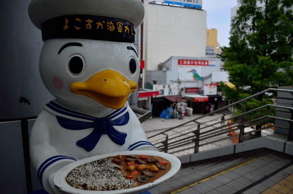 カレーを食べるなら横須賀へいらっしゃい！1515240