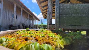 テラス / パティオ / 32