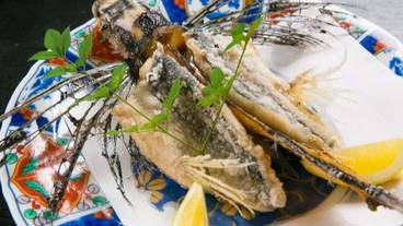 レストラン / 15