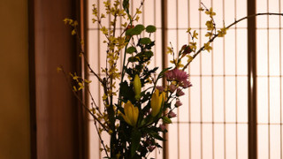 スタンダード ルーム ベッド (複数台) 専用バスルーム (6-8 Tatami Mats)