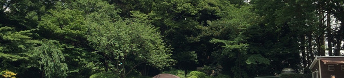 リッチな夏遊び！ビジター利用できる高級ホテルプール【首都圏】