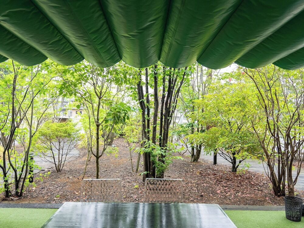 テラス / パティオ