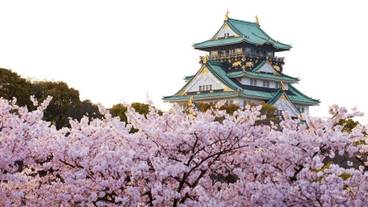 観光スポット / 5