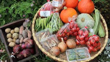 食事・飲み物 / 1