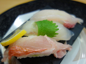 「うまか亭 福島駅ピボット店」 料理 20557149 白身三貫（\390）すずき、ひらめ、タイ！
