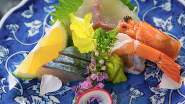 食事・飲み物 / 13