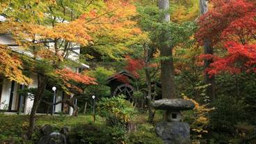 施設の敷地 / 13