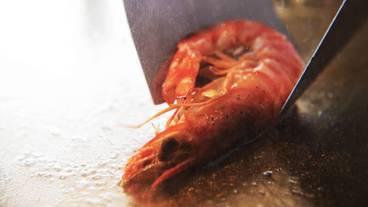 食事・飲み物 / 7