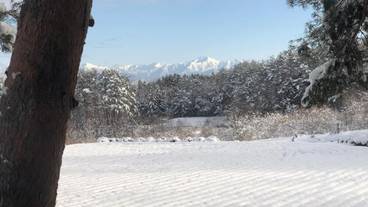 スノー スポーツとスキー / 1