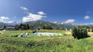 ガーデン ビュー / 8