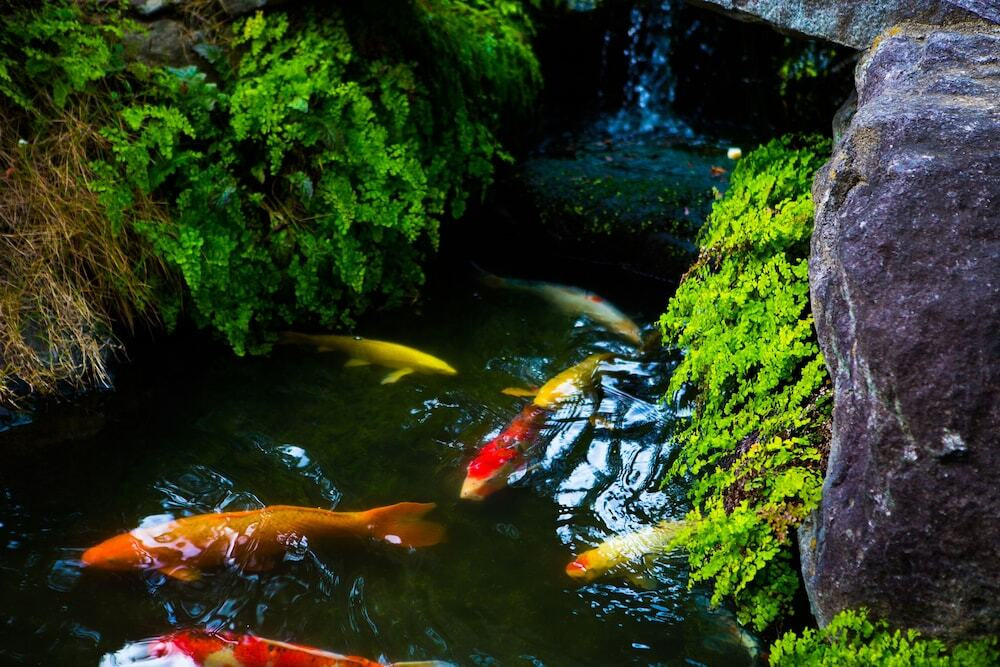 施設からの眺望