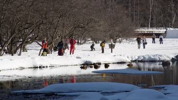 スノー スポーツとスキー / 3