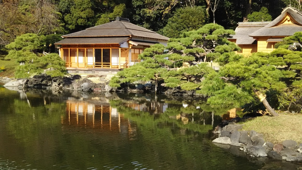 浜離宮恩賜庭園 / 東京都3968484