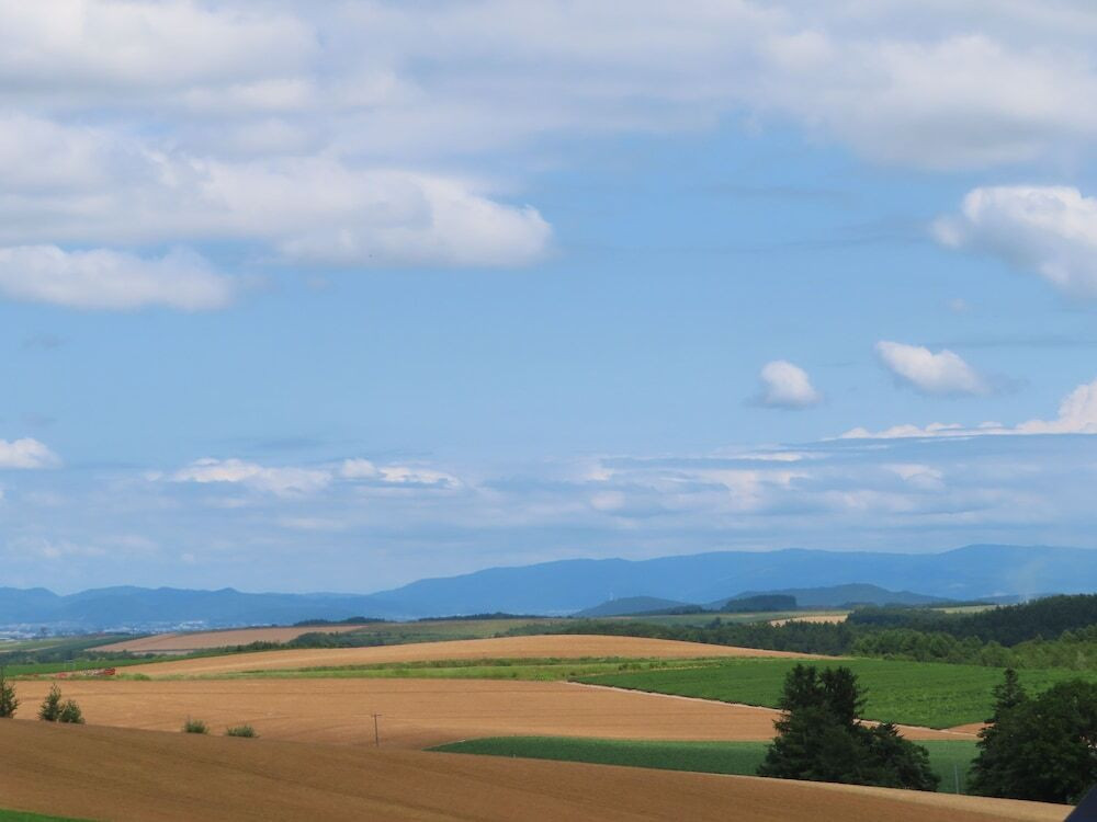 マウンテン ビュー