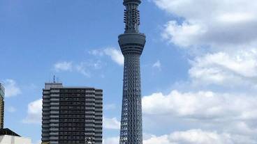 観光スポット / 11