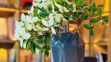 ロビー応接スペース / 20