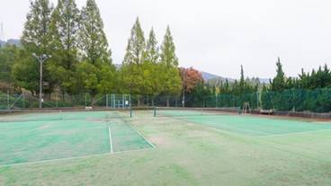 スポーツ場 / 13