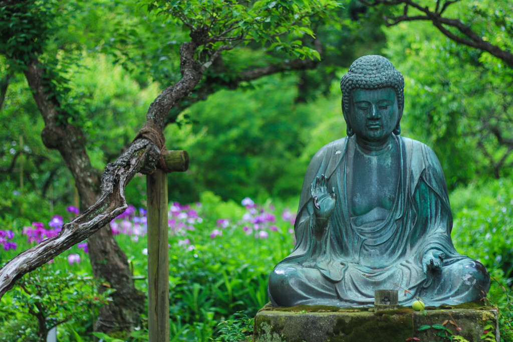 東慶寺2478825