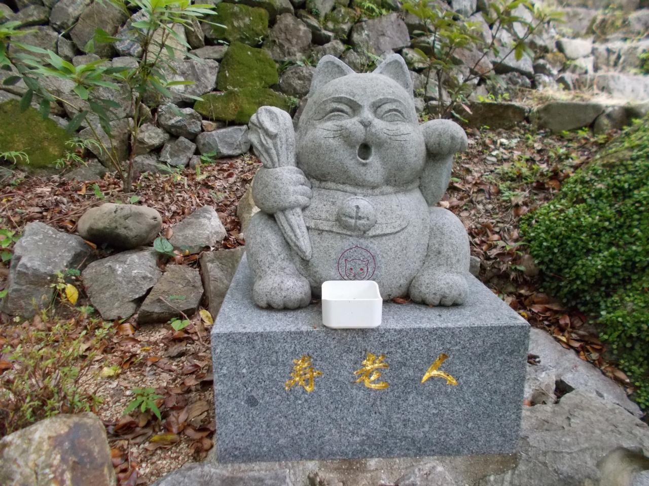 全国の猫ゆかりの寺社＆周辺のホテルをご紹介♪4090752