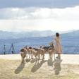 【奈良】女子一人旅で泊まりたいホテル｜おしゃれな “だけじゃない” 6選